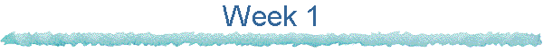 Week 1