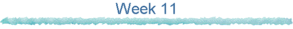 Week 11