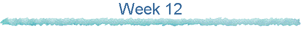 Week 12