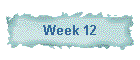Week 12