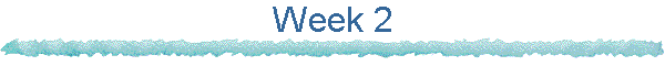Week 2