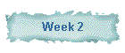 Week 2