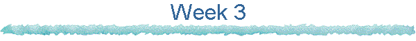 Week 3