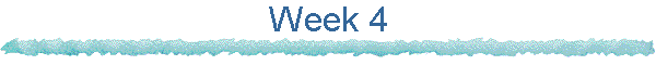 Week 4