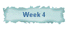 Week 4
