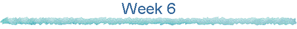 Week 6
