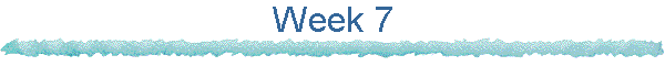 Week 7