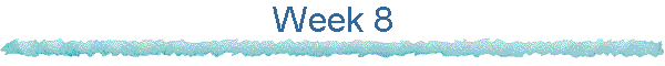 Week 8