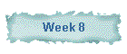 Week 8