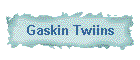 Gaskin Twins