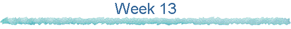Week 13