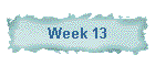 Week 13
