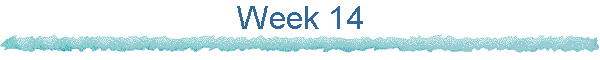Week 14