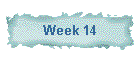 Week 14