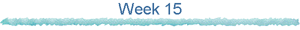 Week 15