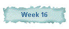 Week 16