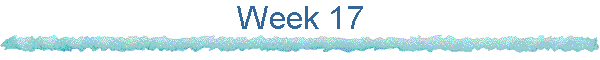 Week 17