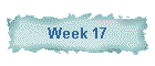 Week 17