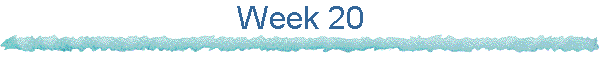 Week 20
