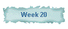 Week 20
